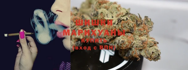 гидропоника Аркадак